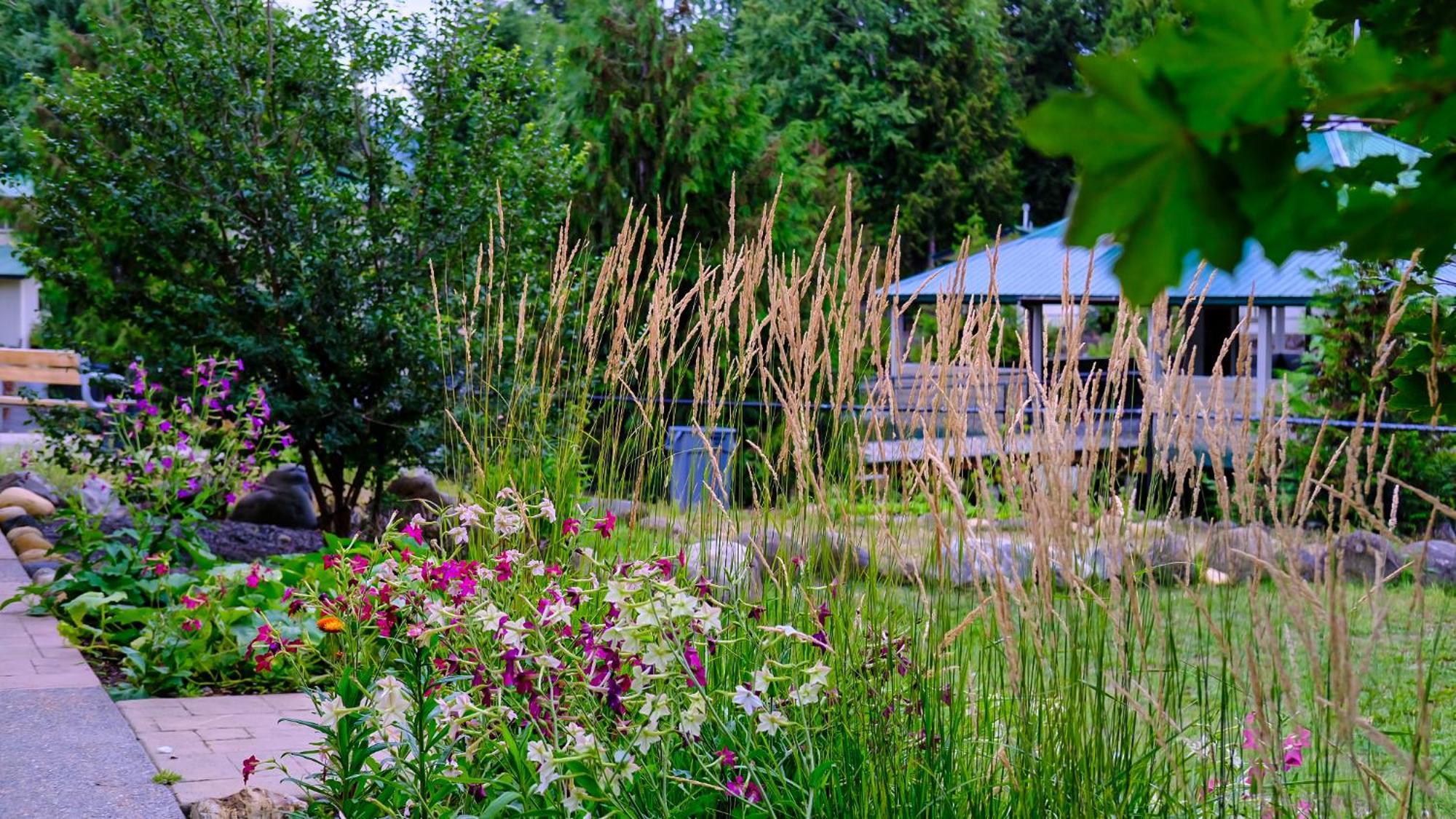 Clearwater Valley Resort Luaran gambar